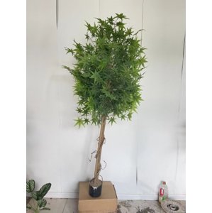 Dekorativní umělá rostlina - Hawaj - 180 cm